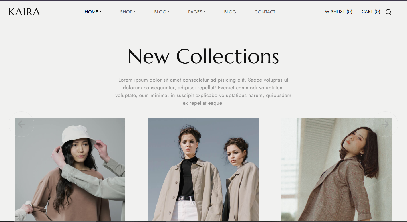 E-Commerce Website (Custom Development)